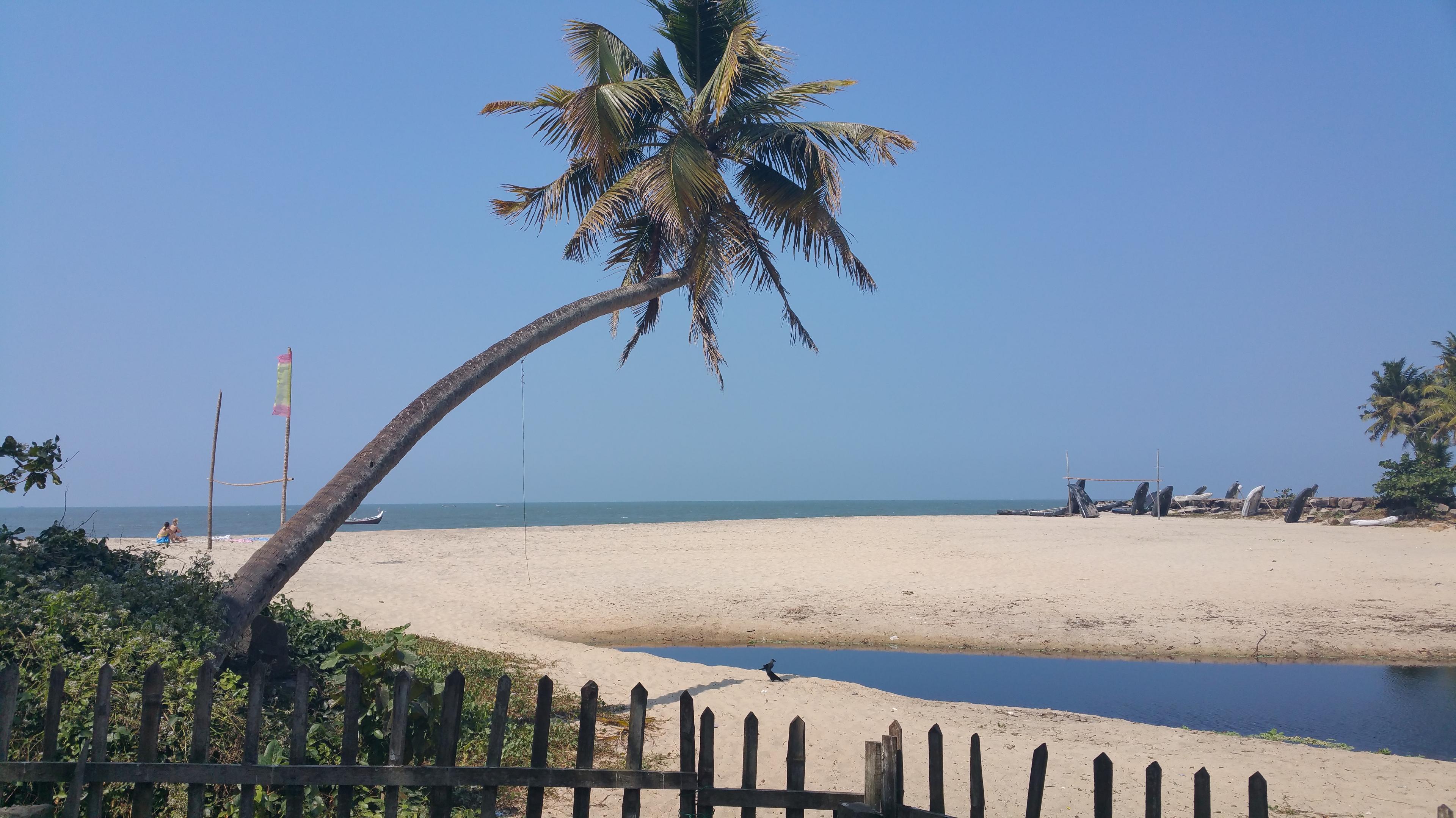 Stage de Yoga en Inde 2027 — Kerala