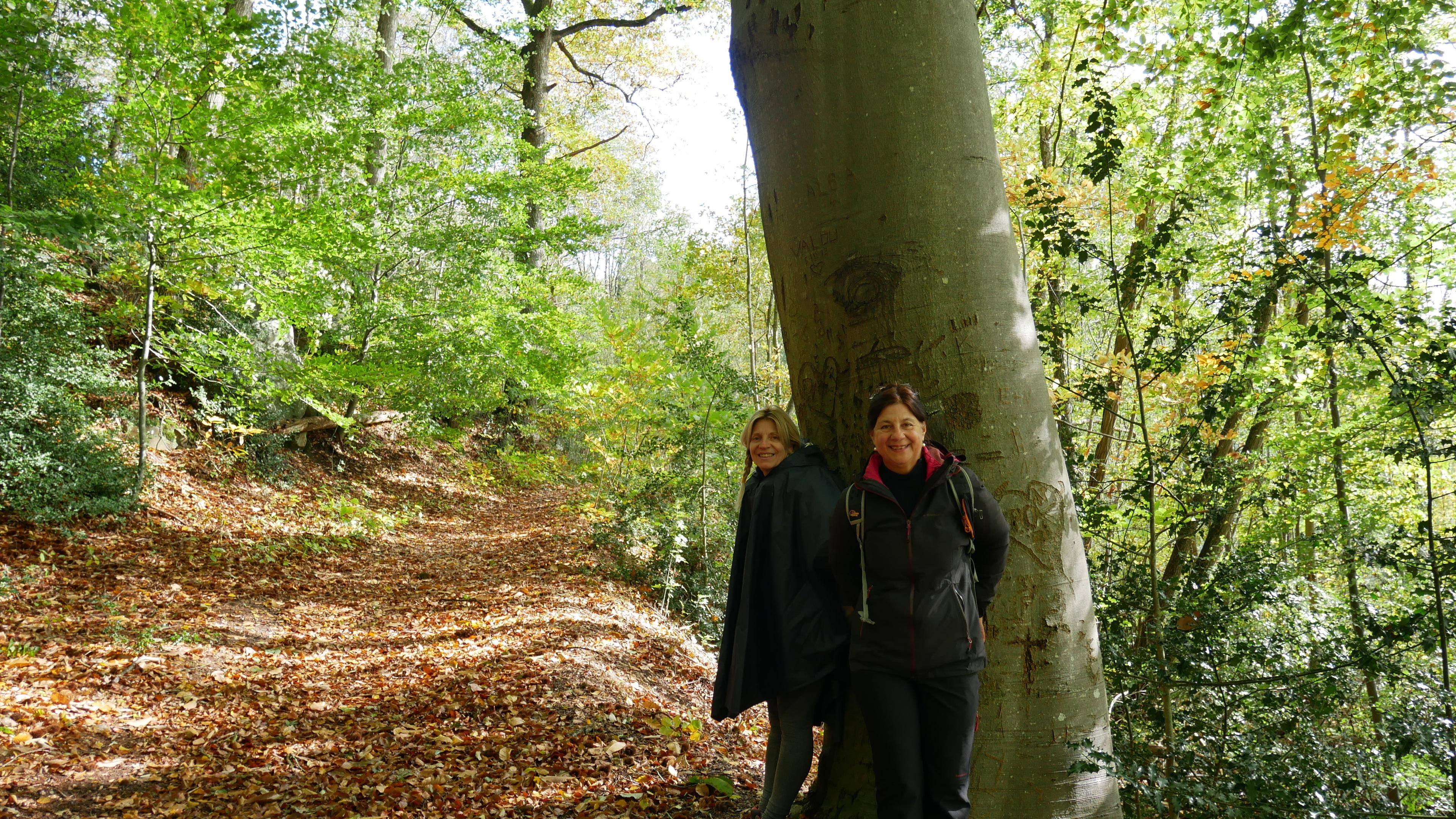 Stage de jeûne et randonnées en vallée de Chevreuse