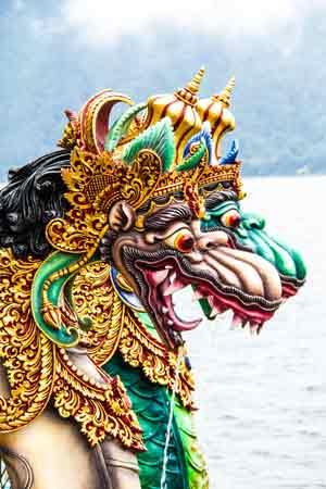 Stage chamanique : La connaissance du Serpent